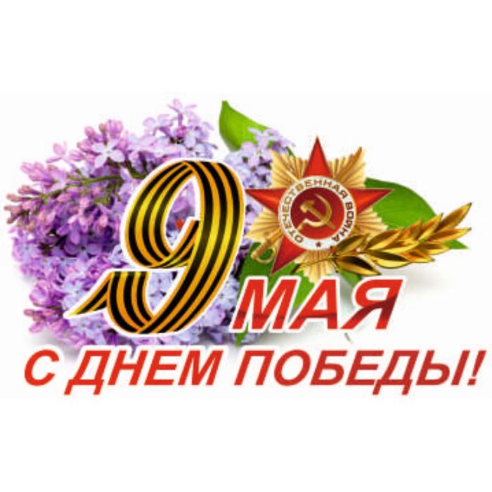 Митинг, посвященный 9 мая.