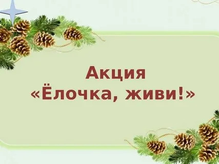 Акция &amp;quot;Ёлочка, живи!&amp;quot;.